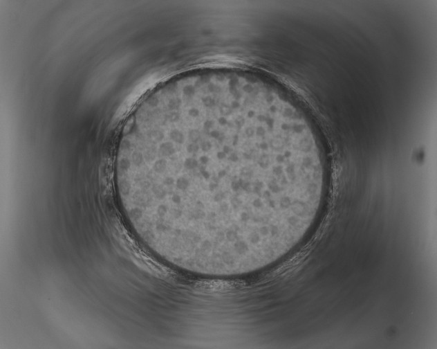 X0000114581355200911301325