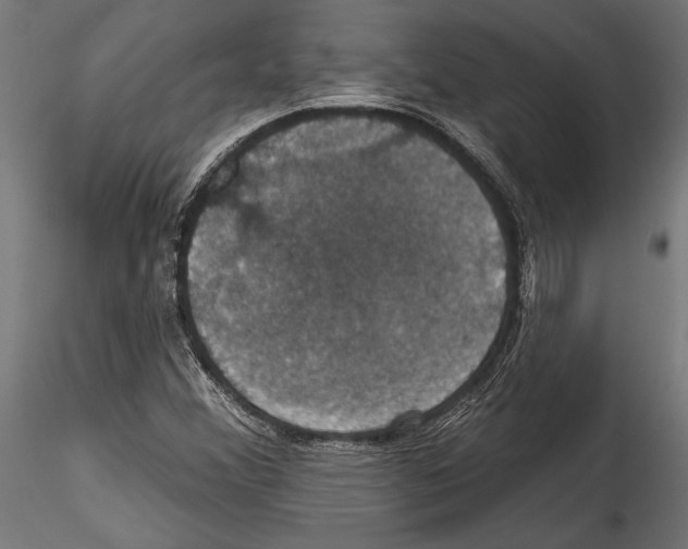 X0000114581356200911301325