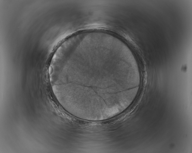 X0000114581358200911301325