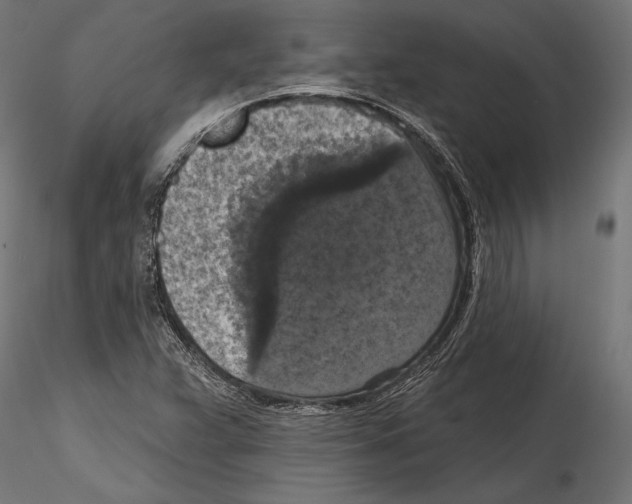 X0000114581359200911301325