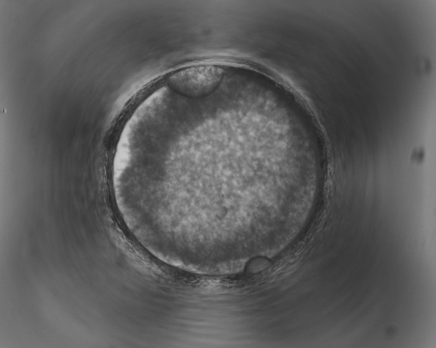 X0000114581360200911301325