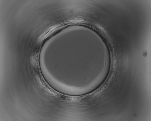 X0000114581361200911301325