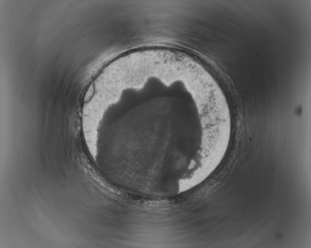 X0000114581363200911301325