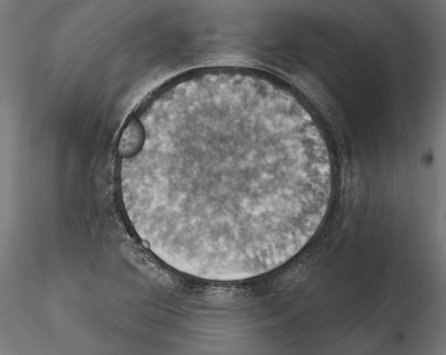 X0000114581364200911301325