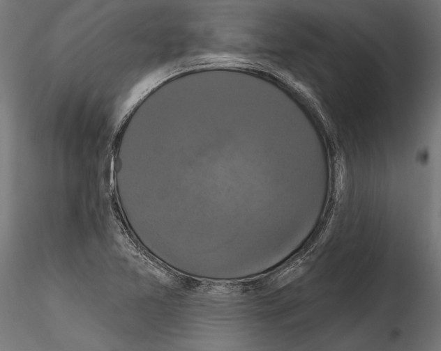 X0000114581365200911301325