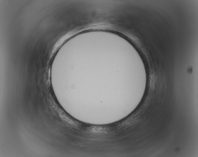 X0000114581366200911301325