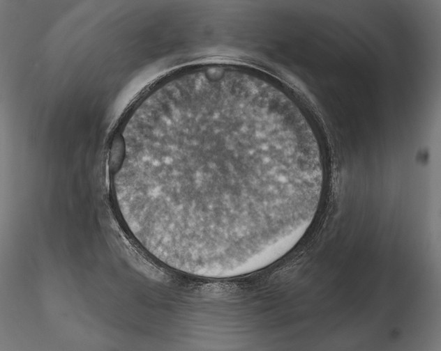 X0000114581368200911301325