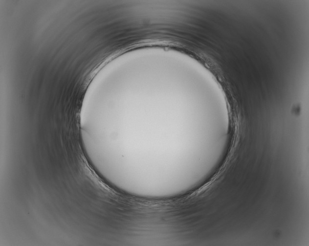 X0000114581369200911301325