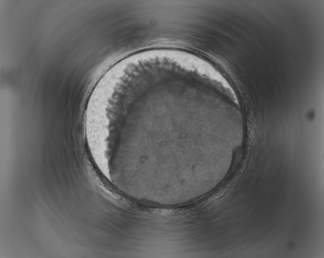 X0000114581371200911301325