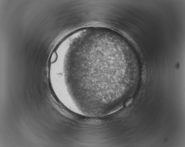 X0000114581372200911301325