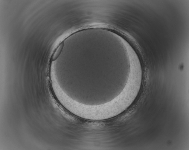 X0000114581373200911301325