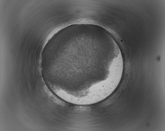 X0000114581374200911301325