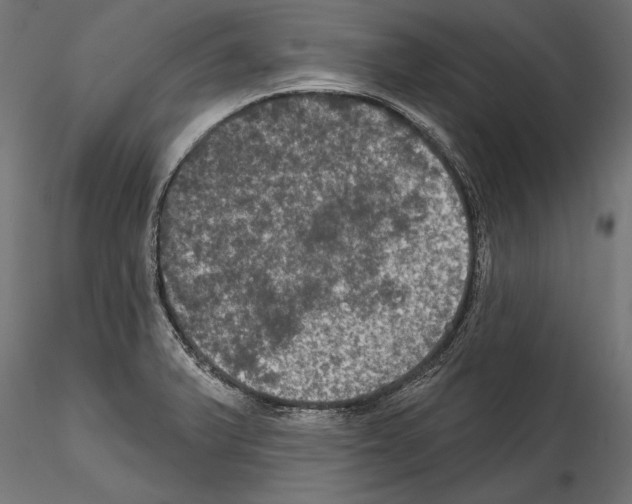 X0000114581375200911301325