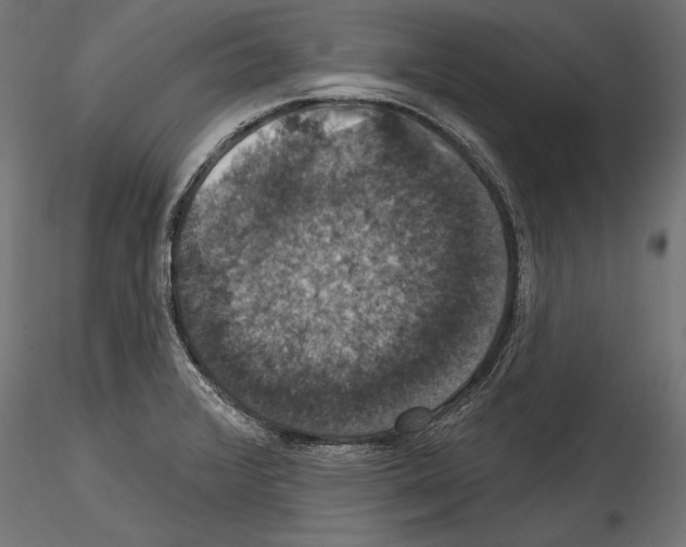 X0000114581376200911301325