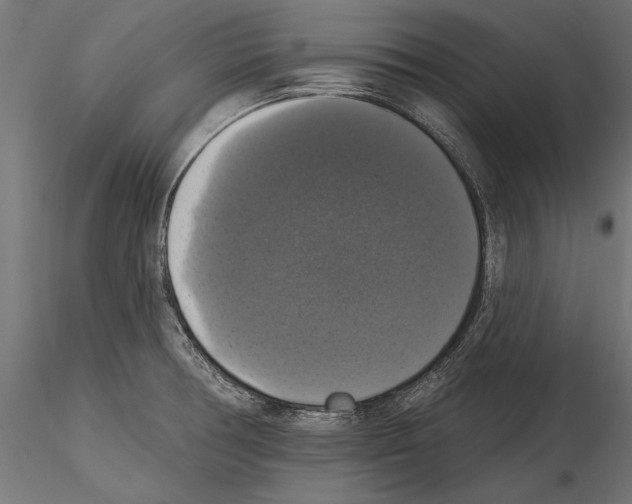 X0000114581378200911301325