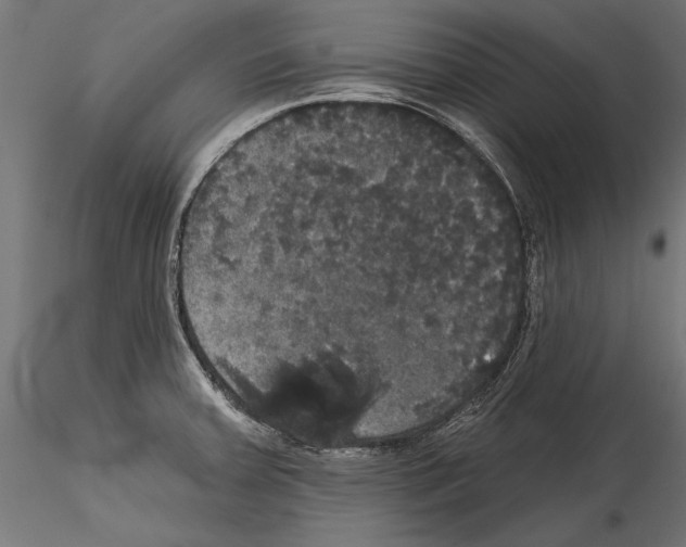 X0000114581379200911301325