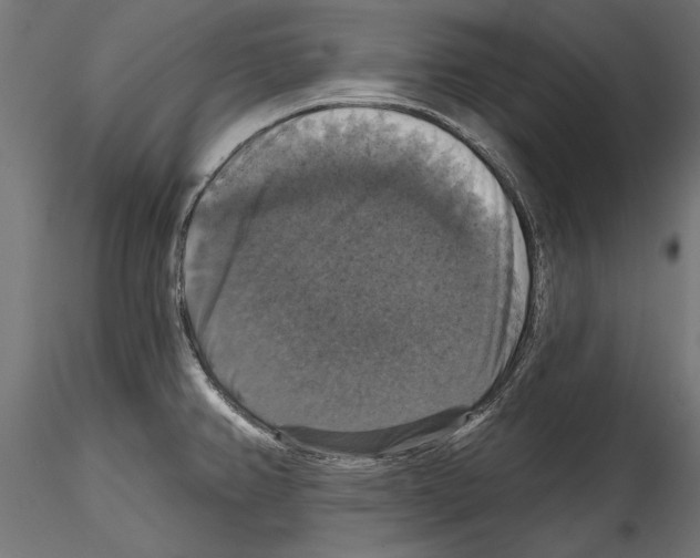 X0000114581382200911301325