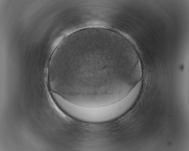 X0000114581383200911301324