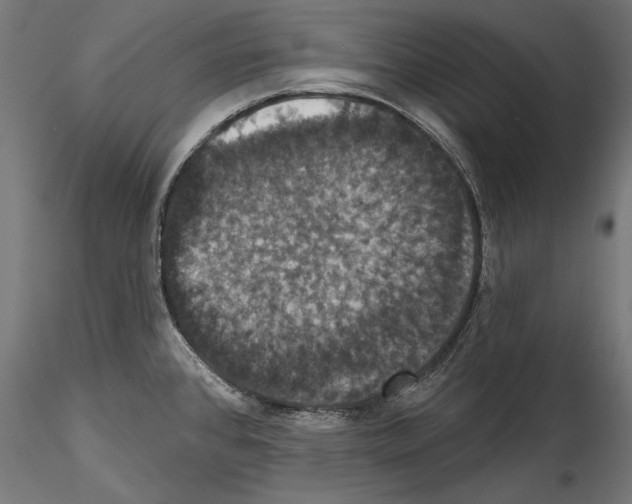 X0000114581384200911301324