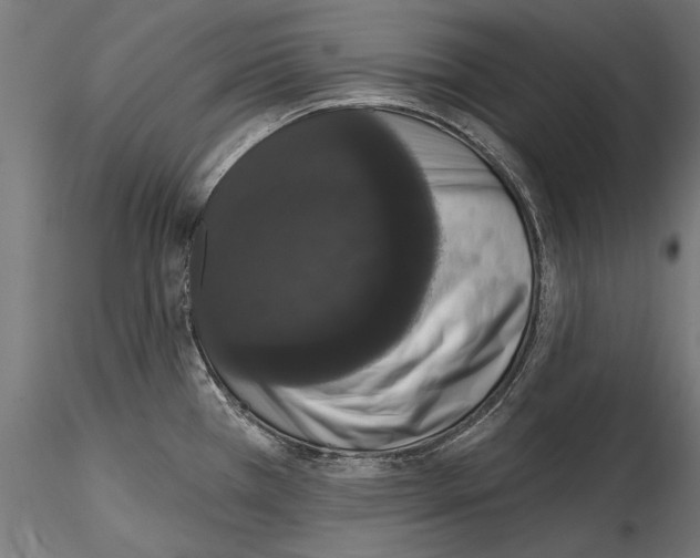 X0000114581385200911301324