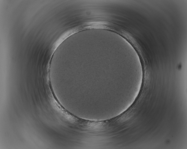 X0000114581386200911301324