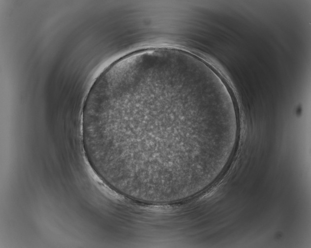 X0000114581388200911301324