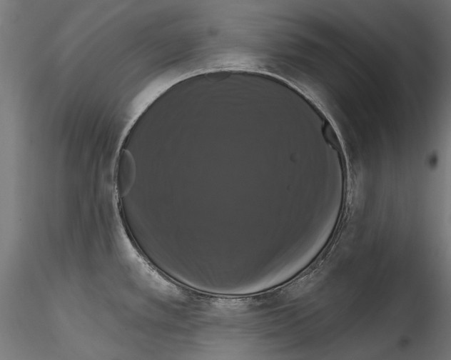 X0000114581389200911301324