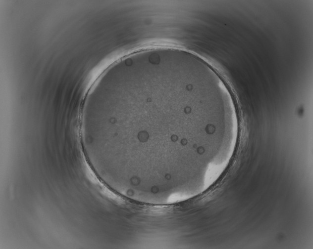 X0000114581390200911301324