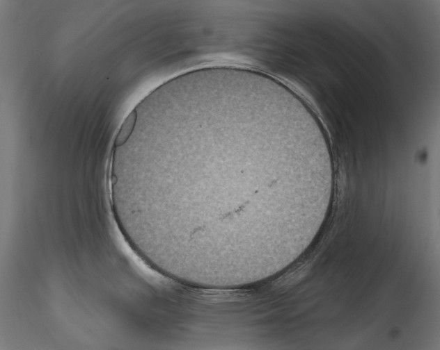 X0000114581391200911301324