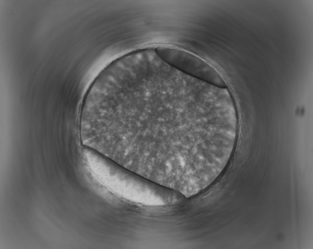 X0000114581392200911301324