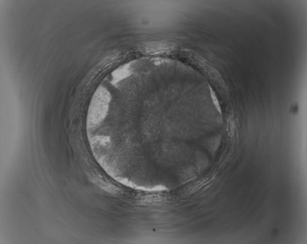 X0000114581393200911301324