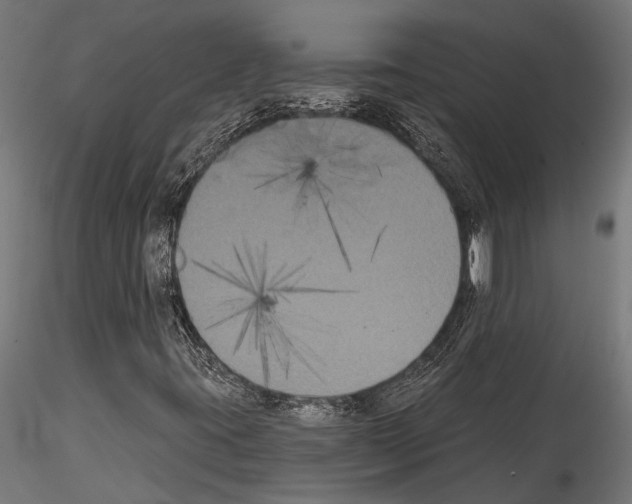 X0000114581395200911301324