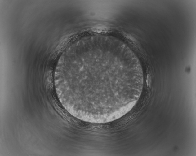 X0000114581396200911301324