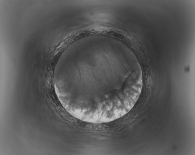 X0000114581397200911301324