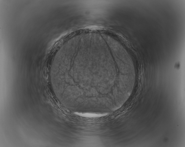 X0000114581398200911301324