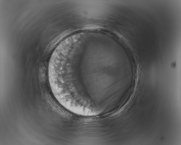 X0000114581401200911301324