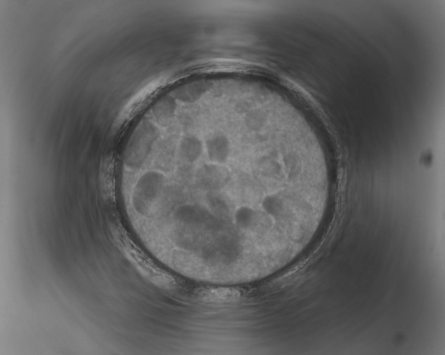 X0000114581403200911301324