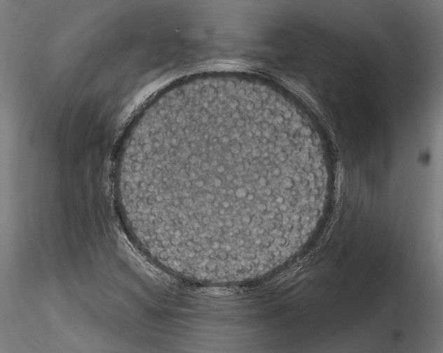 X0000114581404200911301324