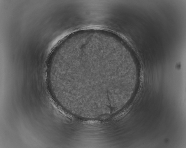 X0000114581406200911301324