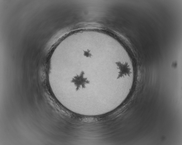 X0000114581407200911301324