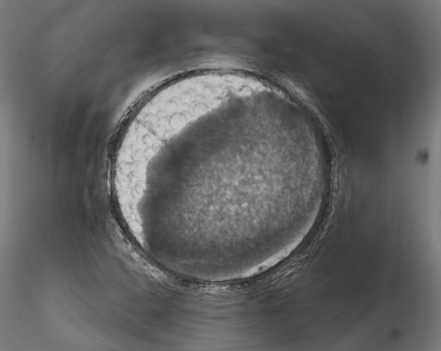 X0000114581408200911301324