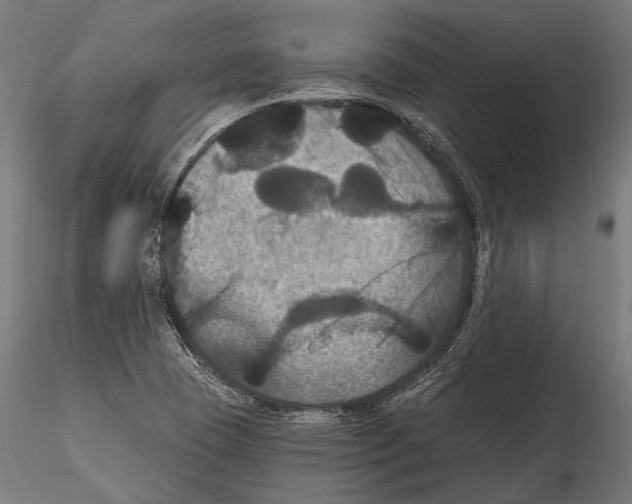 X0000114581409200911301324