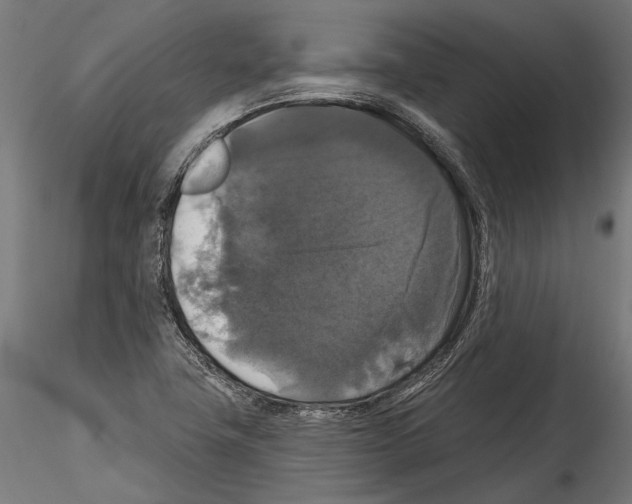 X0000114581411200911301324