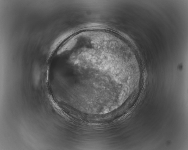 X0000114581413200911301324