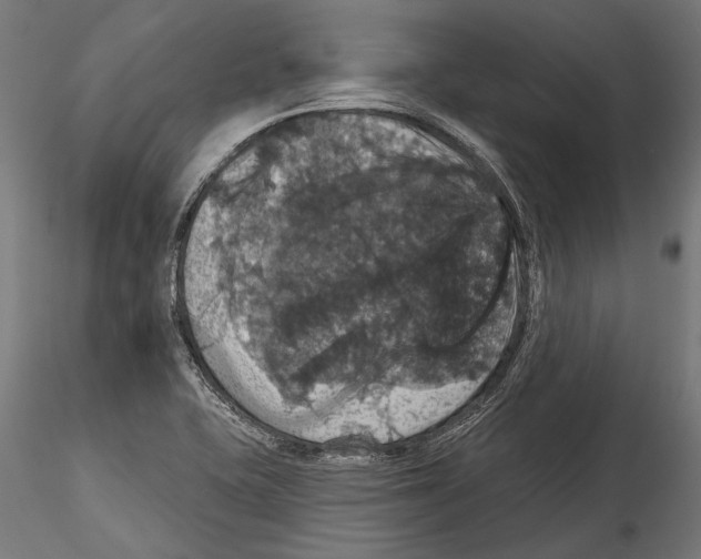 X0000114581415200911301324