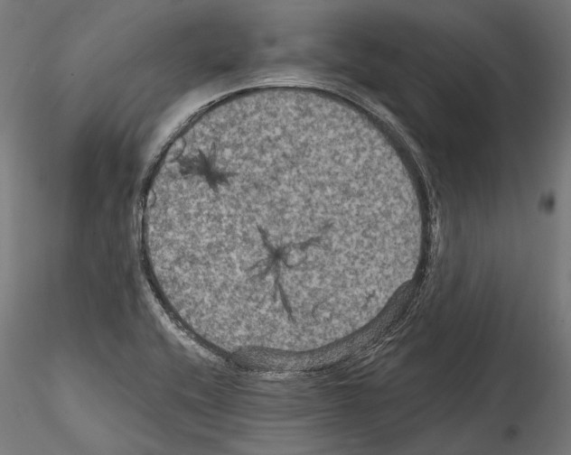 X0000114581416200911301324