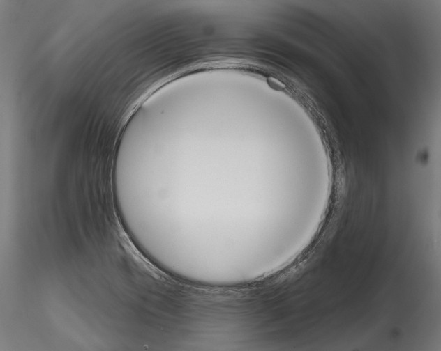 X0000114581417200911301324