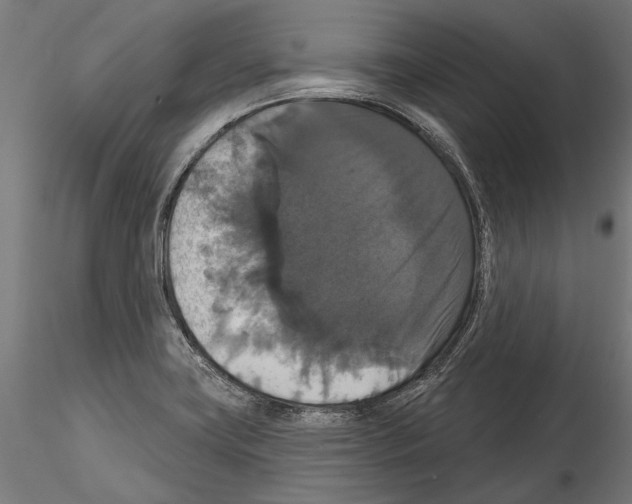 X0000114581419200911301324