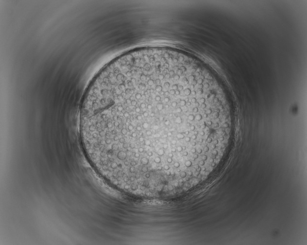 X0000114581420200911301324