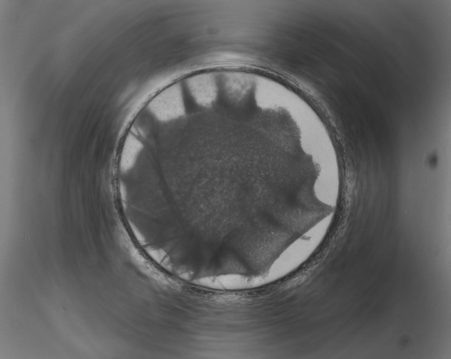 X0000114581421200911301324